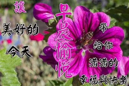 适合早晨群发的早上好祝福短信语录，很漂亮的早安问候表情图片-早晨群发问候语短句子