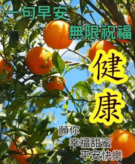 适合早晨群发的早上好祝福短信语录，很漂亮的早安问候表情图片-早晨群发问候语短句子