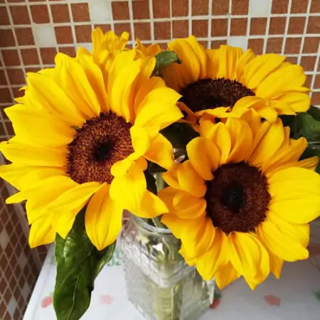 最新早上好祝福暖心问候语，很漂亮的早安祝福鲜花图片-早上好最美鲜花动态图