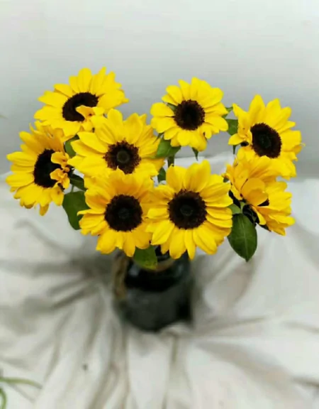 最新早上好祝福暖心问候语，很漂亮的早安祝福鲜花图片-早上好最美鲜花动态图