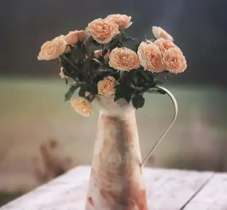 11月最美的早上好问候祝福短信句子，很漂亮的早安鲜花祝福图片-十一月早上好问候语图片