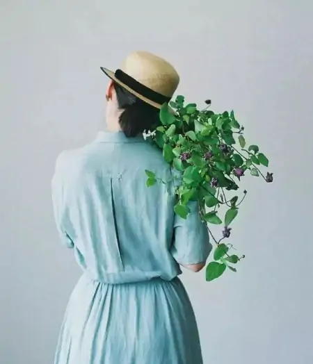 11月最美的早上好问候祝福短信句子，很漂亮的早安鲜花祝福图片-十一月早上好问候语图片