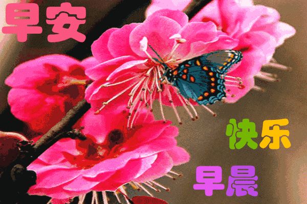 2021特别漂亮的早上好图片，每日最新早安图片-早上好图片带字温馨图片2020年
