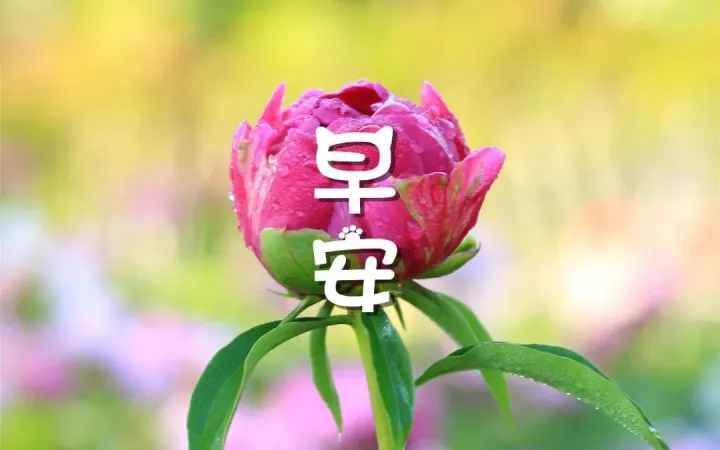 2021特别漂亮的早上好图片，每日最新早安图片-早上好图片带字温馨图片2020年