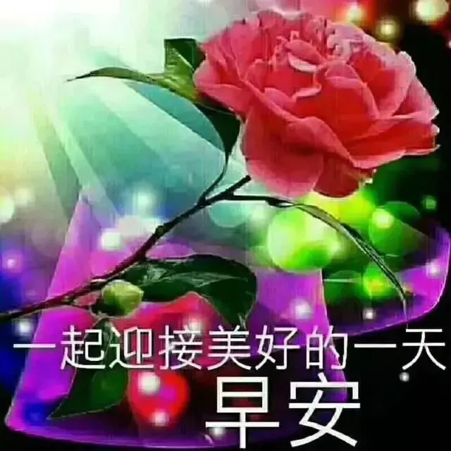 2021早上好问候表情图片大全 最新好漂亮的早安问候带图片-早上好问候语的表情包