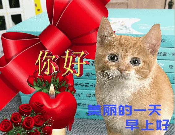 3月最新版群发早晨好问候祝福图片 2022春天最美早上好动画祝福带字表情图片大全-早上好的祝福图片可以发送的