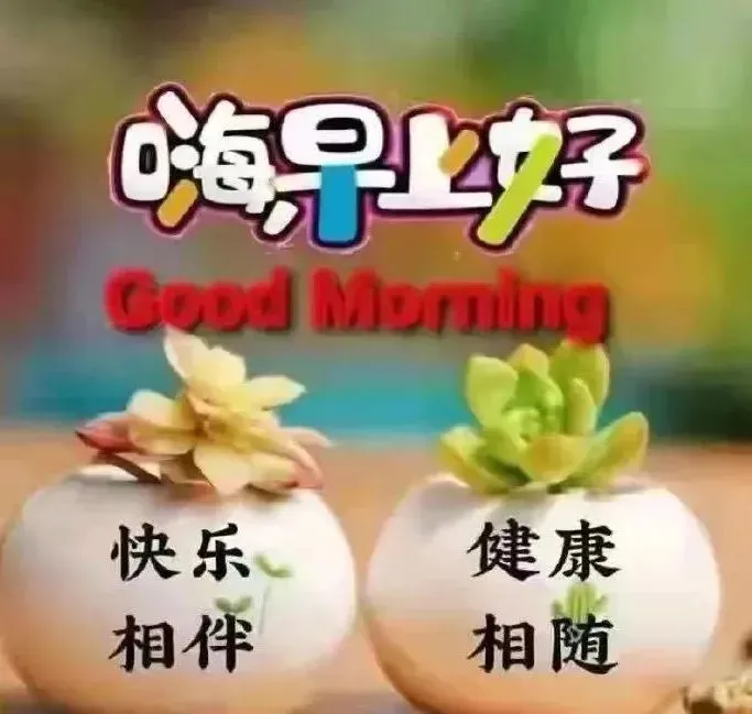 微信群发早晨好表情包图片大全 早上好问候语表情动态图片-群发早上好的问候语怎么发