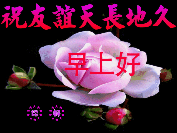 朋友圈最新版清晨早上好问候语美图，12月6日清早早上好问候暖心句子送给你-早上好说说朋友圈说说