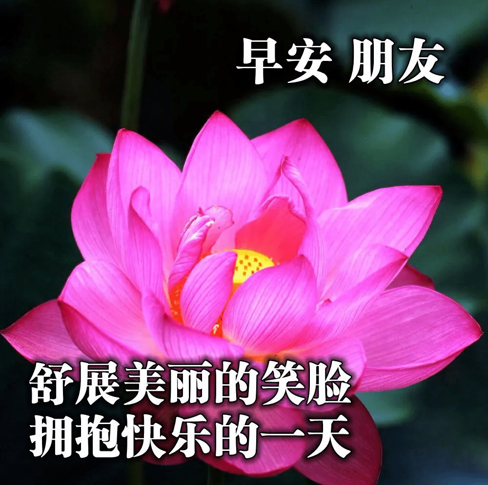 最新版最漂亮的早上好短语句子，问候暖心，早安吉祥！-早上好的问候美句图片 简短