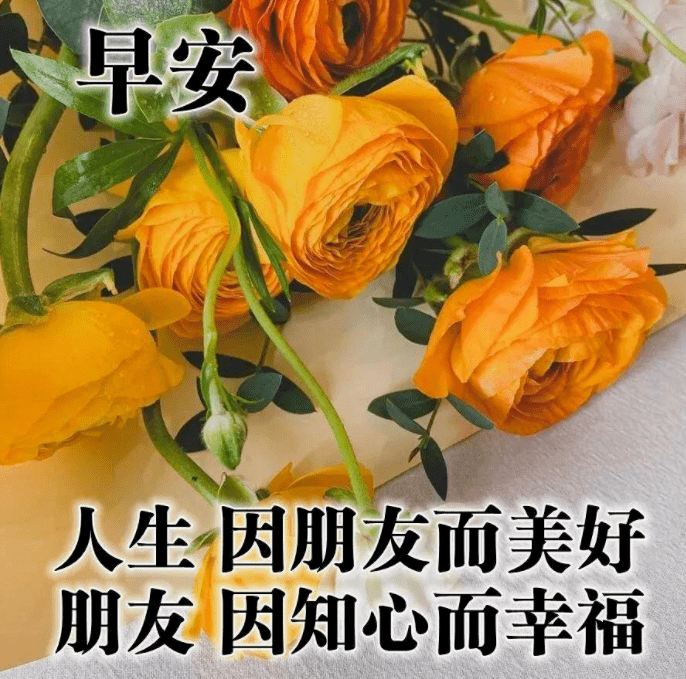 最新版最漂亮的早上好短语句子，早上好祝福早安短句子问候语精选图文-早上好的优美句子 最温暖的早安问候语