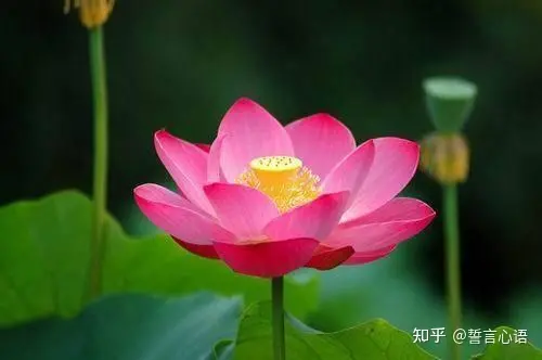 特别暖心的早安一句话，简短精致，越看越爱！-早安暖心话 一句话图片
