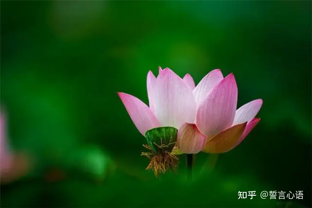 特别暖心的早安一句话，简短精致，越看越爱！-早安暖心话 一句话图片