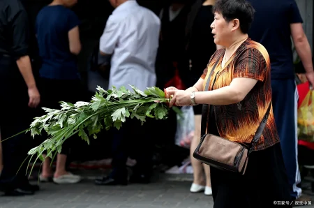今年端午节哪天割艾草好？老人说“前三后四最合适”，有啥说法？-几月份割艾草