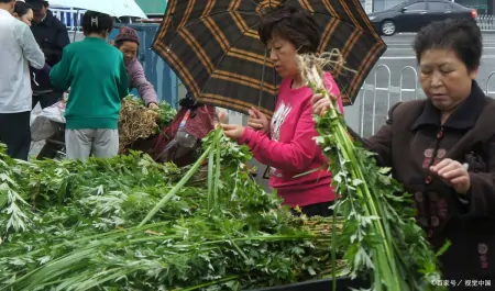 今年端午节哪天割艾草好？老人说“前三后四最合适”，有啥说法？-几月份割艾草