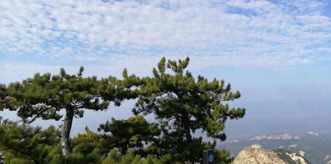 外地人去华山旅游攻略：衣食住行！-爬华山一年死多少人