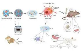 甲状腺结节怎么中医治疗？-甲状腺结节的中医治疗的方药有哪些