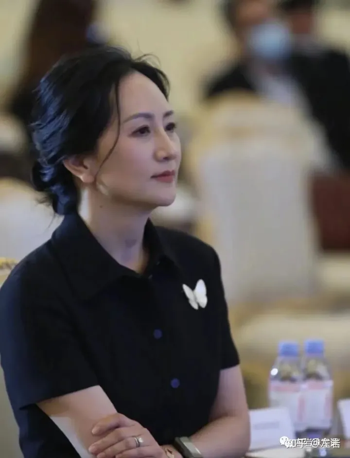 左岩：“破茧成蝶”孟晚舟，回国后首次公开露面，近10万蝴蝶胸针增添优雅自信本色！-孟晚舟左脚腕戴的是什么