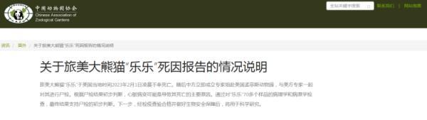 回国第一晚，丫丫过得怎样？“怼脸拍”来了！-美国乐乐和丫丫回国了吗