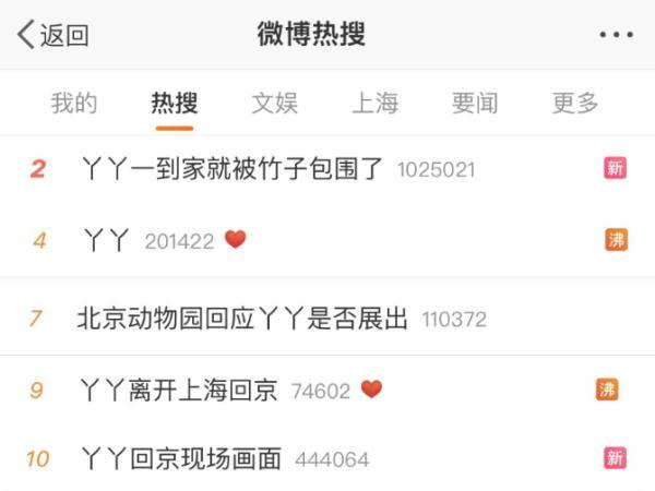 “丫丫”平安回到北京动物园，最新画面来了！网友：眼睛亮了，也胖啦~-丫丫平安回到北京动物园视频