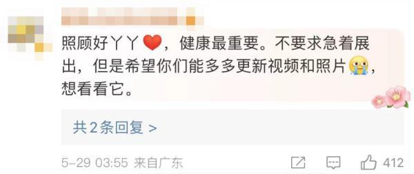 “丫丫”平安回到北京动物园，最新画面来了！网友：眼睛亮了，也胖啦~-丫丫平安回到北京动物园视频
