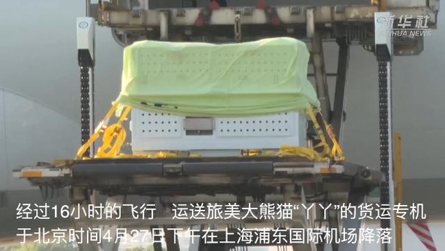 “丫丫”回家第一晚，画面来了，下一步安排→-丫头回来了 律师