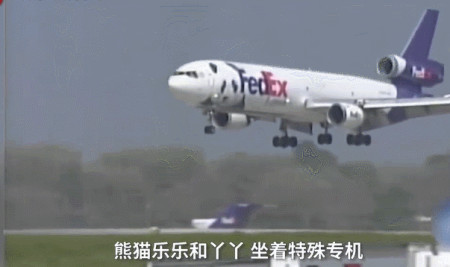 丫丫回国，究竟意味着什么？-丫丫乐乐回国后