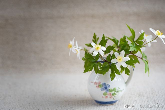 双子座2022年运势详解，双子座2022年全年运势完整版（双子座2021年运势精准详解女生）