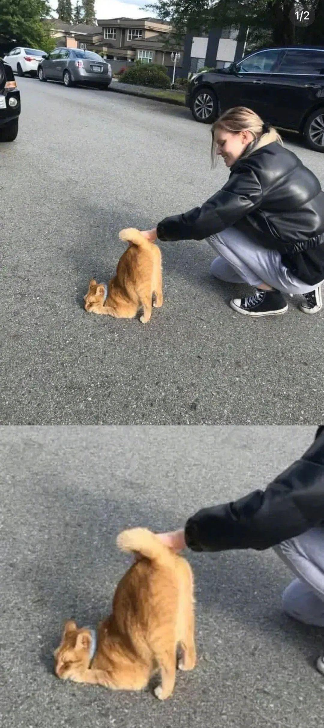秦始皇摔过最狠的一跤！（秦始皇摔过最狠的一跤是什么电视剧）