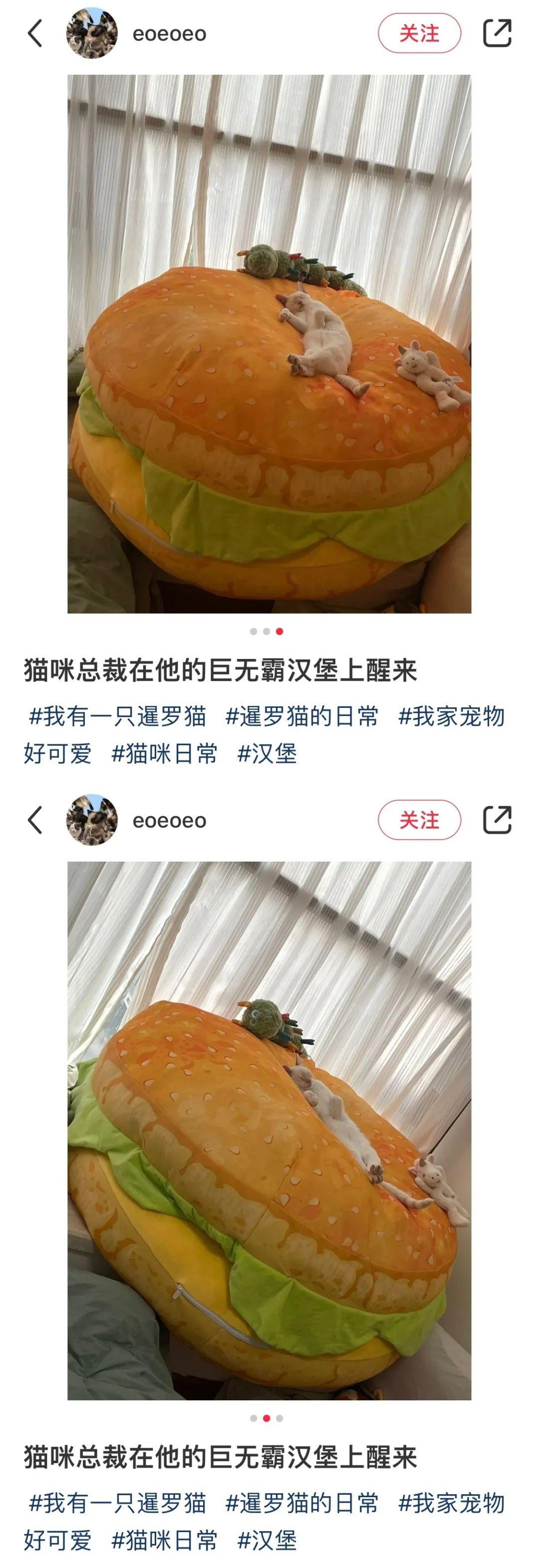 秦始皇摔过最狠的一跤！（秦始皇摔过最狠的一跤是什么电视剧）