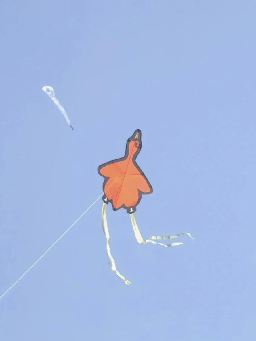 潍坊风筝节创意太有趣了，品牌们也乱入上天battle（2021潍坊风筝节活动）