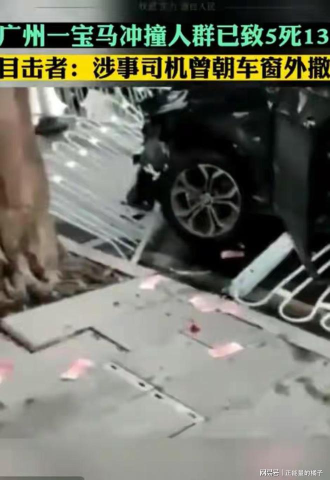 广州男子驾宝马连撞致五人死亡，判决死刑，大连撞人罪犯执行死刑（大连男子开宝马撞）