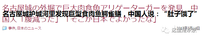 巨型怪鱼入侵护城河！日本人民愁得慌，还数中国人民有办法（巨大鱼怪兽）