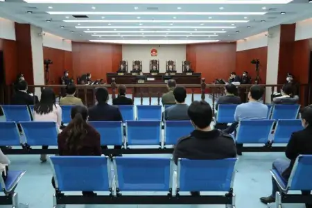 江歌母亲诉刘鑫案二审择期宣判 江母发声（江歌母亲与刘鑫见面视频）