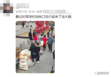 地铁扫码送大鹅？谨慎扫码！安全问题不容小觑！-地铁口扫码送小礼品
