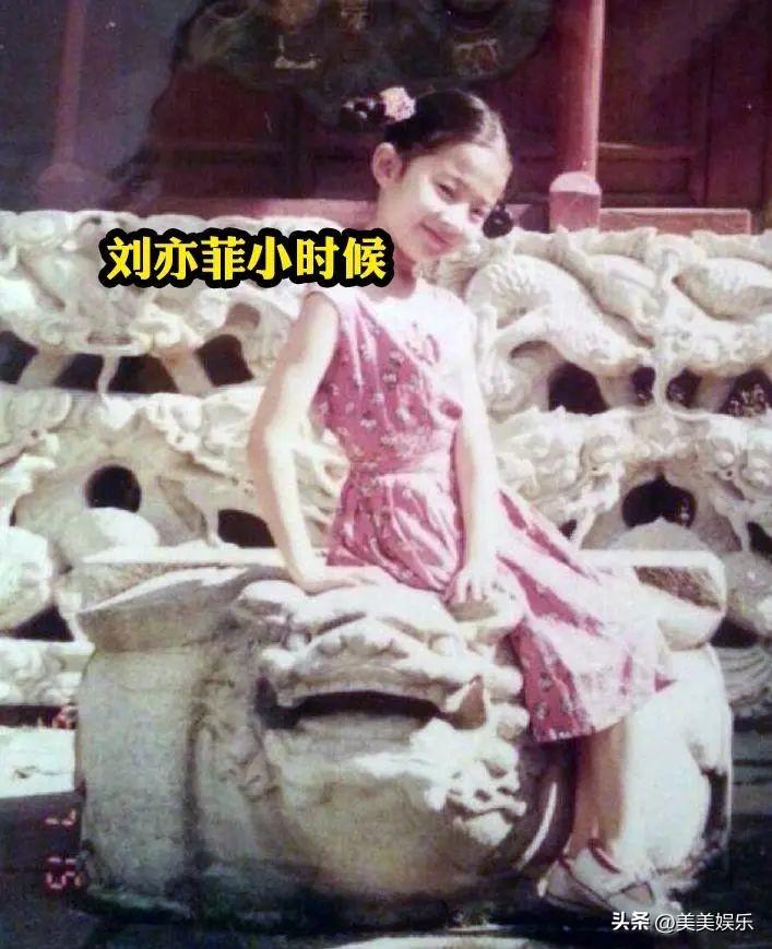 刘亦菲自曝被韩国女生霸凌，更多后续来了，他们怎么下得去手？-刘亦菲在韩国的知名度