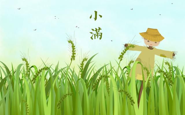 二十四节气之小满，你了解吗？-24节气之小满手抄报的内容