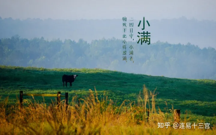 【24节气详解】小满-附养生精要-二十四节气小满是什么意思?