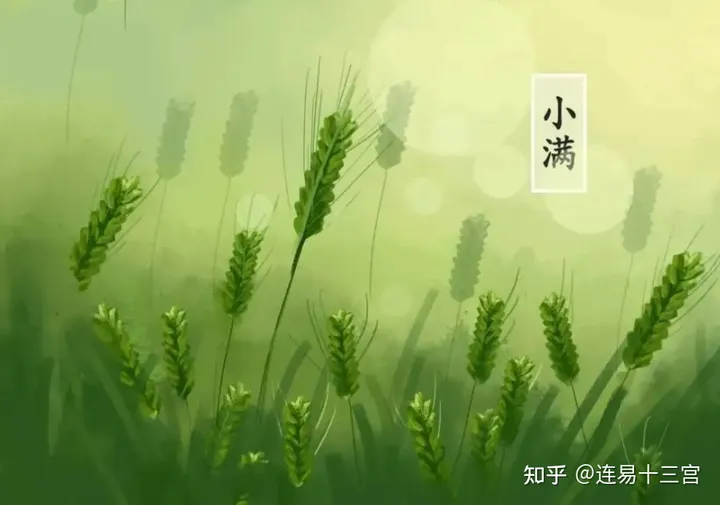 【24节气详解】小满-附养生精要-二十四节气小满是什么意思?