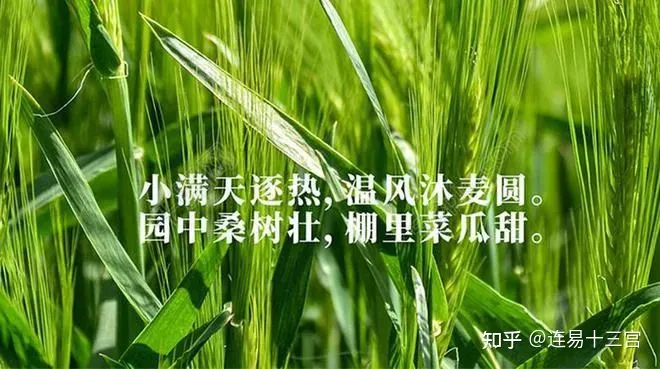 【24节气详解】小满-附养生精要-二十四节气小满是什么意思?