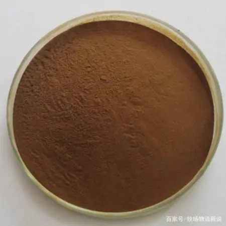 无抗养殖政策下怎么喂料可以让猪不生病？如何喂料能让猪养得好？-猪喂什么药