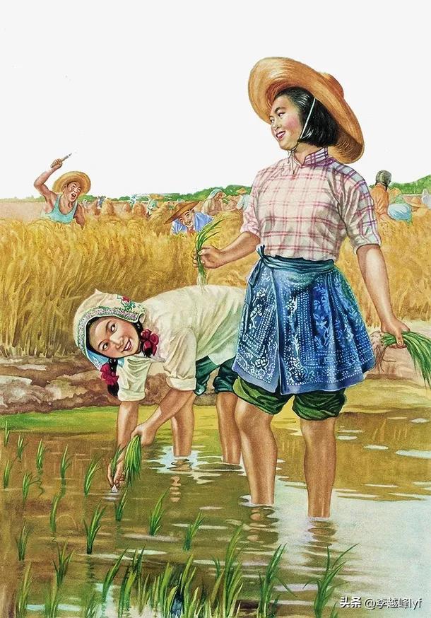 上百台收割机无法下高速？官方回应，网友：麦子发芽烂地里了！-2020年收割机可以上高速吗