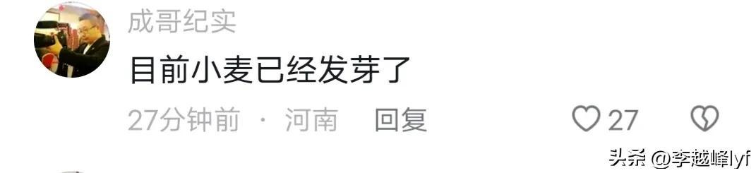 上百台收割机无法下高速？官方回应，网友：麦子发芽烂地里了！-2020年收割机可以上高速吗