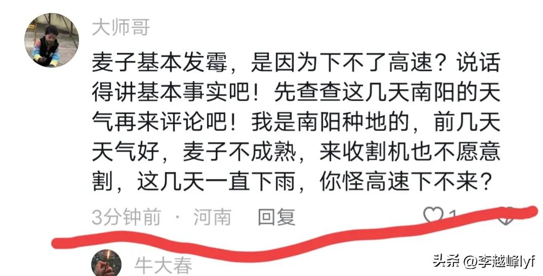 上百台收割机无法下高速？官方回应，网友：麦子发芽烂地里了！-2020年收割机可以上高速吗