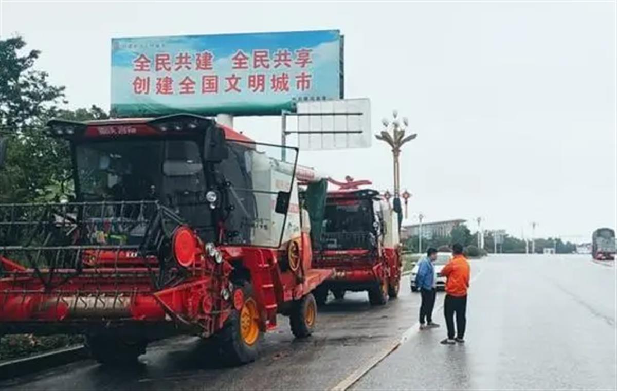 这边小麦因下雨发芽损失惨重，那边上百台收割机不让下高速，到底怎么了？-小麦收割前二十天下雨好不好