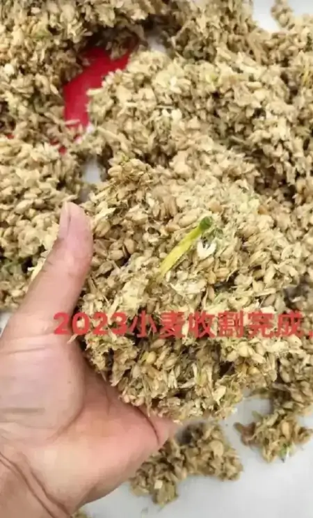 大快人心！河南官方终于出手了，河南收割机下不了高速-收麦机多少钱一台河南