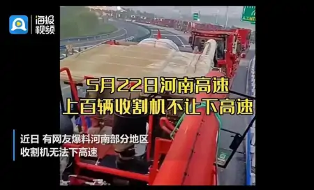 小麦淋雨受损和收割机事件虽无关联，也当读懂背后的民生期盼-收割小麦下雨前还是下雨后好