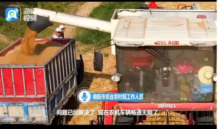 小麦淋雨受损和收割机事件虽无关联，也当读懂背后的民生期盼-收割小麦下雨前还是下雨后好