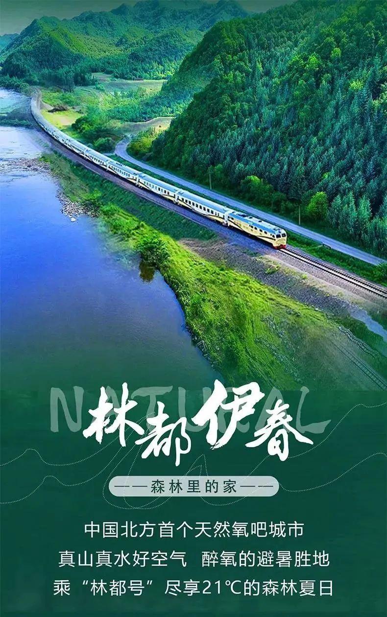 全列软卧！全新豪华专列！“林都号”旅游列车将于7月18日试运行，附最强实用攻略-全列软卧,还有大床家庭房!这趟火车开始售票