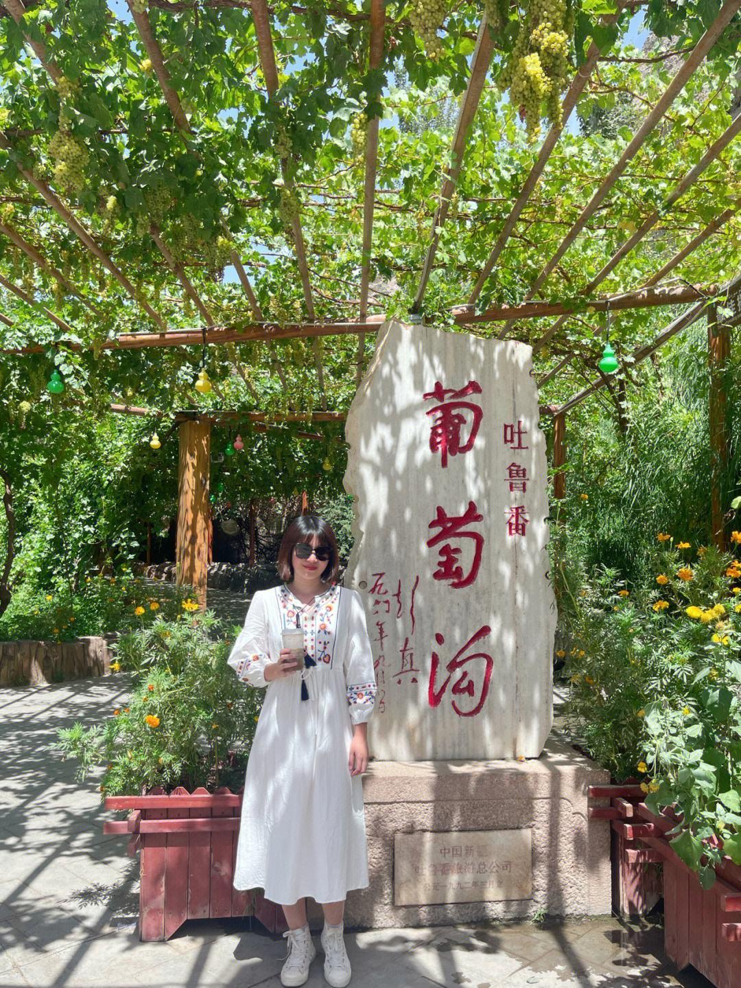 环游北疆旅游专列7月29首发，双层四人包厢9日游，每人仅4380元