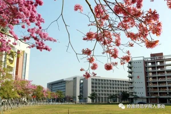 岭南师范学院诚邀优秀青年英才申报国家优青项目（海外）-岭南师范学院人才